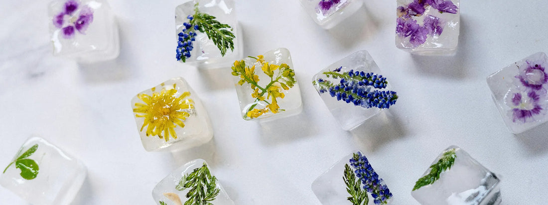 herbs, flowers frozen in ice cubes